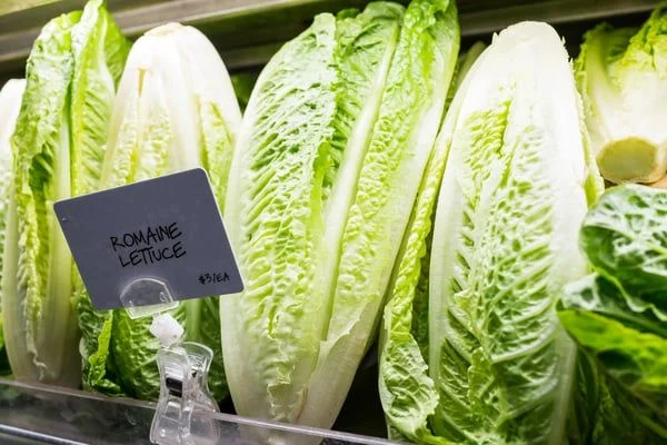 Romain Lettuce- JConnelly Blog- Here's How to Prepare for a Food Recall